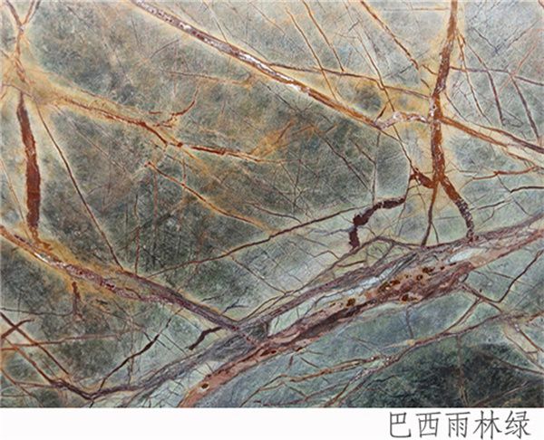 巴西雨林綠
